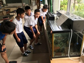 D81fedde8ffd45ca8dcd0f3191e21628