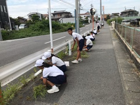 E1ce34c35a4548489a825911902d0dcd