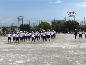 E839e202db5c4c418664357399eeda8c