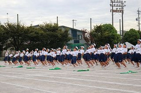 46e67555b2f54d37bce7ac7e233491dc