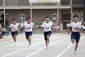 5e0acf2311054b88915b7da8365fd568