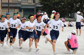 E20a272328e5450c8df850a1d24579eb