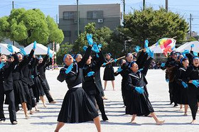 2b410e664f65478dbe9d4580149e0eed