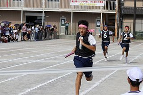 A47c6c5f721d4d4eb264c8a114ab61ee