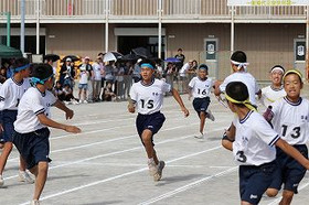 B3d3f1fb306844d8b73b4501fbd8e3bc