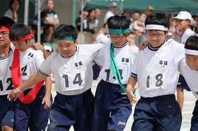 Cb6e8fe76fa5457cbea7c10dc0538adc