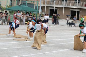 Dd7b0264f02742429b31fcdff31457c0