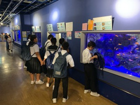 29a462332b484b329e8abaf5a11b5f52