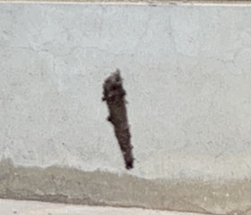 56c108358b9d4396a7fabae8dc222296