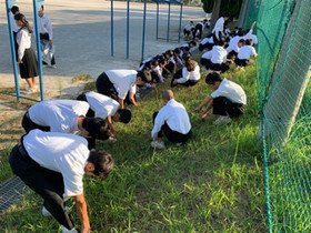 0a134bbbe0af4c16af97fcab8732a88b