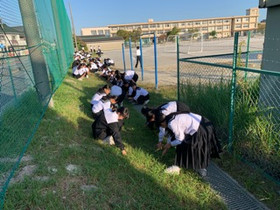 7eb4a2919a6d477db3b446ad1dcd4288