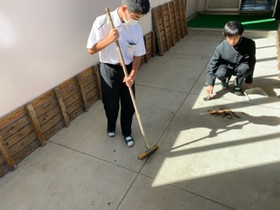 2ea77a4bc06e49ff8feee332984fdf6d