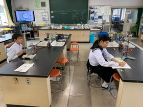 32c59d02a4354887a09715f0c53a58f6