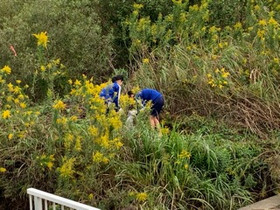 8b0dcd4e015f40c885e7a67ead75c21f