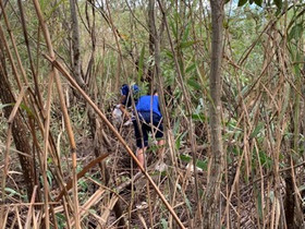 Df42779c66574ca488e517a92889b4fc