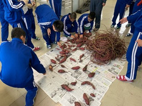 219cda0868584160a8c9ca47b2f0181d