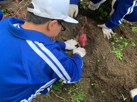 42e8b6c9ba7044778d106451e09b3dac