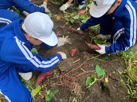 46b1a9b4bff84e389b68a44215f1dac2