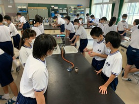 5e1e7ac4081446589294d1074af39068