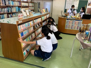 Ffb87a1c0ba647a08cddcd5f1feeef86