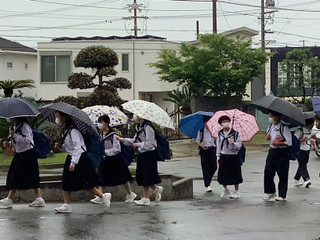 6ca2814f3bcd4a579779bf105fd8a4b4