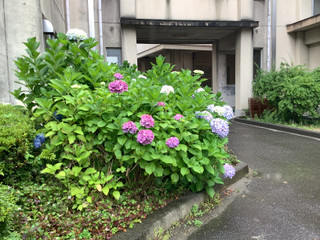 Bd742853b53c4cbb91d45a16ca1ff678