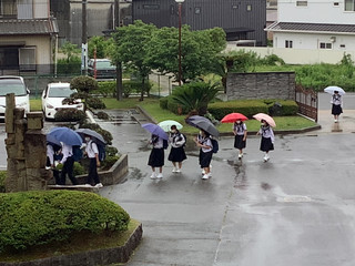 F8b31b4edf354ee9ad27239dc488dca5