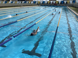 9e84f219d3a643c79954e5b77d5fea1f