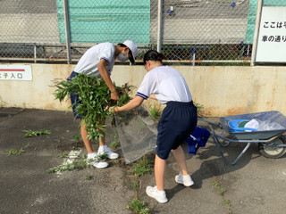 9534d3836ace477f9a3ef9a260b0513e