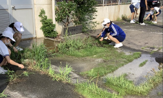 A73251f331494c7d9da75691f2068498