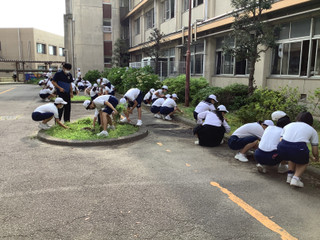 B235114f6e7e4acc8430c678fb729c9f