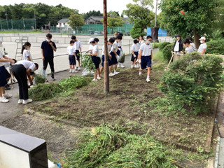 46fec3a273c8411081f9e7a8b8150a3c