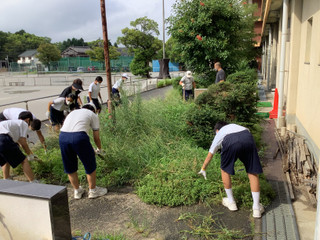 E47098eecd9d4cf9b043c38df3f793aa