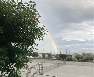 2952e6cb3cc24afe91b6ecd47a4de8b5