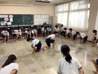 B74d7dc38c0c4b46bed999d5e1497233