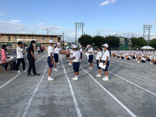 28f646ff31694487aab5d4f4c6089bbb