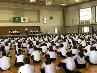 497c152efe5f4181ba753b409f6f8227