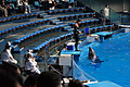 Dsc06288 Dsc06288