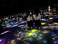 Img_5971 Img_5971