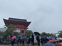 1665102574147_20221007092959_1