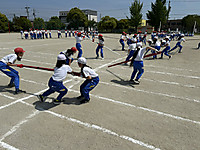 Img_2232