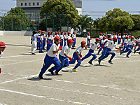 Img_2235