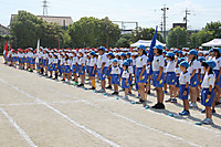 Img_8641 Img_8641