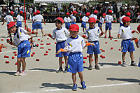 Img_8671 Img_8671