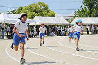 Img_8684 Img_8684
