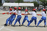 Img_8737 Img_8737