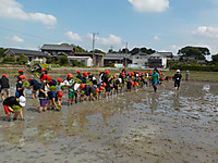 Dscn3783 Dscn3783