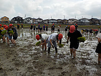 Dscn3784 Dscn3784