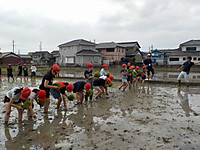 Dscn3786 Dscn3786