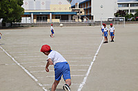 Img_8132 Img_8132